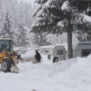 winter11-12 6